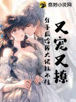 又宠又撩，分手后冷厉大佬扛不住！